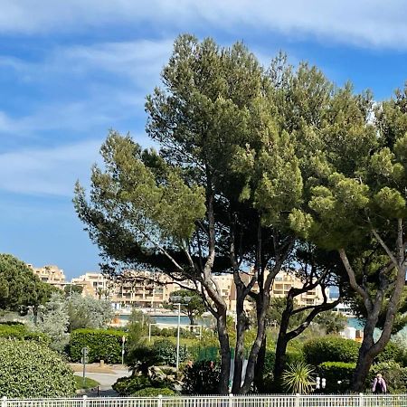 My Little Provence Bormes Les Mimosas Daire Dış mekan fotoğraf